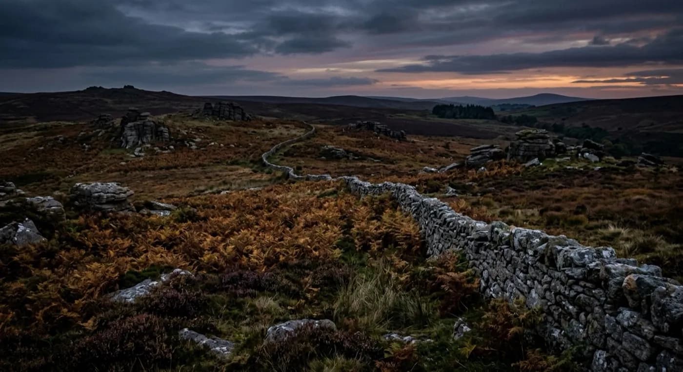 Open Dartmoor-edge moorland at dusk with bracken and a stone wall running into the distance